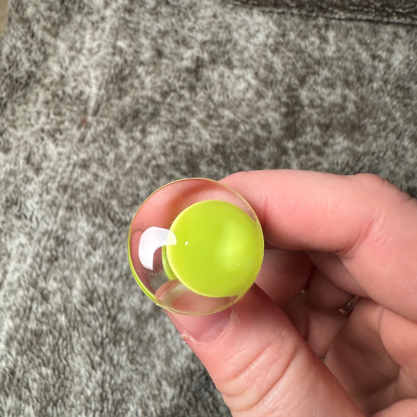 Shake it Off- ERAS Collection